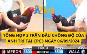 Tổng Hợp 3 Trận Đấu Chồng Độ Của Anh Trí Tại CPC3 Ngày 06/09/2024