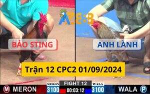 Trận 12 CPC2 04/09/2024 - Gà Khét Của Anh Bảo Nhẹ Ký Dí Bạc Gà Anh Duy