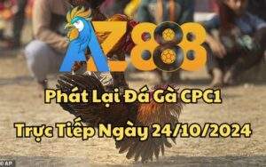 Phát Lại Đá Gà CPC1 Trực Tiếp Ngày 24/10/2024
