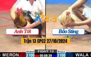 Trận 13 CPC2 Ngày 27/10/2024 Bướm Hiệu Bảo Sting Hạ Gà Anh Tới Dễ Dàng