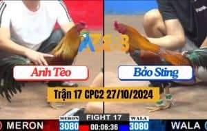 Trận 17 CPC2 Ngày 27/10/2024 Bảo Sting Thất Bại Khi Đá Đồng Trạng