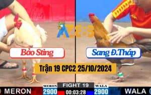 Trận 19 CPC2 Ngày 25/10/2024 Anh Bảo Sting Và Anh Sang Đồng Tháp