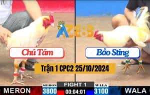 Trận 1 CPC3 Ngày 25/10/2024 - Anh Sen Vĩnh Châu Và Anh Châu Đồng Tháp