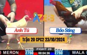 Trận 20 CPC2 Ngày 23/10/2024 Anh Bảo Sting Trổ Tài Nài Gà Hạ Anh Tú