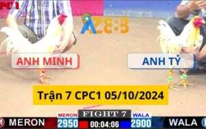 Trận 7 CPC1 05/10/2024 - Gà Má Minh Dí Bạc Đối Thủ Ăn 5 Và Cái Kết