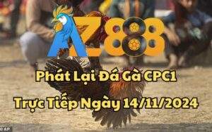 Phát Lại Đá Gà CPC1 Trực Tiếp Ngày 14/11/2024