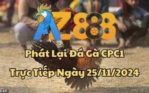 Phát Lại Đá Gà CPC1 Trực Tiếp Ngày 25/11/2024