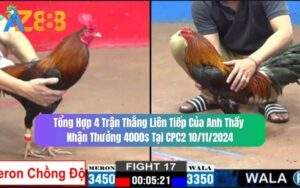Trận 30 CPC3 Ngày 10/11/2024 - Anh Dũng Bao Bồ Trong Ngoài Hơn 1 Tỏi
