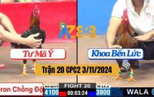 Trận 20 CPC2 Ngày 3/11/2024 Gà Anh Tư Mã Ý Chồng Độ Hạ Đẹp Đối Thủ
