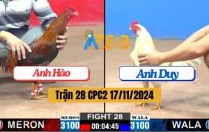 Trận 28 CPC2 17/11/2024 - Siêu Phẩm Lật Kèo 2 Lai Của Anh Duy