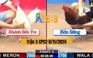 Trận 3 CPC2 Ngày 8/11/2024 - Gà Anh Bảo Sting Bị Hạ Bằng Chân Xạo Lờ