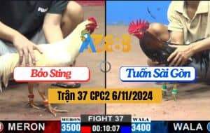 Trận 37 CPC2 Ngày 6/11/2024 - Anh Bảo Sting Và Anh Tuấn Sài Gòn
