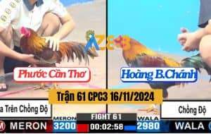 Trận 61 CPC3 16/11/2024 - Gà Khét Anh Phước Chồng Độ Đá 2 Cây Trên