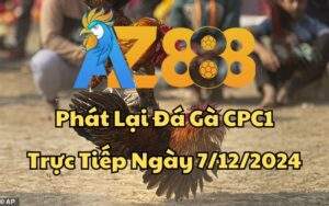 Phát Lại Đá Gà CPC1 Trực Tiếp Ngày 07/12/2024