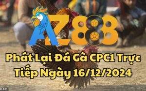 Phát Lại Đá Gà CPC1 Trực Tiếp Ngày 16/12/2024