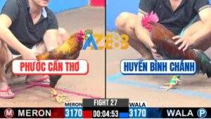 Trận 27 CPC3 6/12/2024 - Gà Anh Huyền Đá Gà Anh Phước Đứng Không Vũng