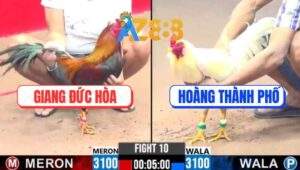 Trận 10 CPC3 23/1/2025 - Điều Đuôi Lao Đâm Úa Không Có Đường Về