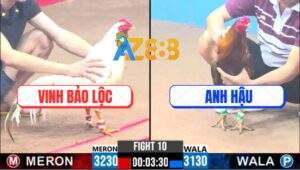 Trận 10 CPC3 7/1/2025 - Gà Khét Anh Hậu Đá mấy Chân Lụm Cái Xổ 200