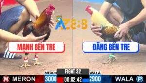 Trận 32 CPC3 14/1/2025 - Chuối Có Chân Trời Đánh Đốn Giò Đối Thủ