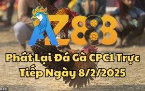 Phát Lại Đá Gà CPC1 Trực Tiếp Ngày 08/02/2025