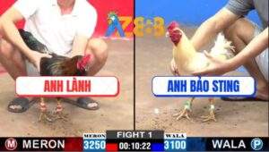 Trận 1 CPC2 26/2/2025 - Anh Bảo Sting Mở Bát Bị Đá Bung Bồ