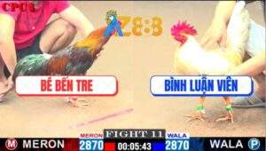 Trận 11 CPC1 25/2/2025 - Anh Bình Luận Viên Tiếp Tục Hạ Anh Bé