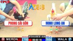 Trận 12 CPC1 24/2/2025 - Gà Bướm Má Bú Vô Là Đâm Khiến Gà Que Gãy Cổ