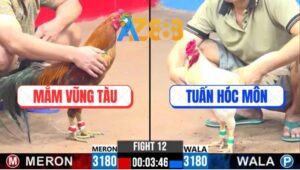 Trận 12 CPC3 28/2/2025 - Gà Anh Mắm Tránh Né Đá Đúng 1 Chân Lụm Kem