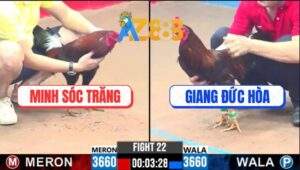 Trận 22 CPC3 16/2/2025 - Hai Cọp Đụng Nhau Trong Ngoài Gần 3 Tỏi