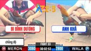 Trận 33 CPC3 23/2/2025 - Gà Anh Bi Chồng Đồ Đá 3 Chân Lụm Lúa