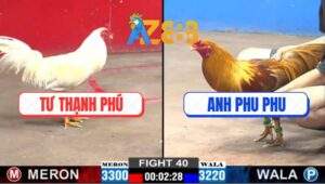 Trận 40 CPC2 16/2/2025 - Gà Khét Anh Phu Phu Đâm Gà Úa Anh Tư Tơi Tả