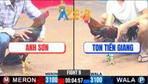 Trận 9 CPC3 23/2/2025 - Điều Chân Vàng Đâm Cựa Quá Tịch