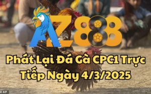 Phát Lại Đá Gà CPC1 Trực Tiếp Ngày 04/03/2025