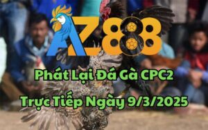 Phát Lại Đá Gà CPC2 Trực Tiếp Ngày 09/03/2025