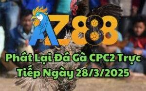 Phát Lại Đá Gà CPC2 Trực Tiếp Ngày 28/03/2025
