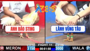 Trận 11 CPC2 2/3/2025 - Anh Bảo Sting Sủa Gà Cứu Thua Quá Đẳng Cấp