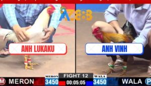 Trận 12 CPC2 5/3/2025 - Gà Bướm Anh Lukaku Đá Gà Anh Vinh Ói Đen Đầu