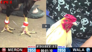 Trận 17 CPC1 ngày 1 tháng 3 năm 2025