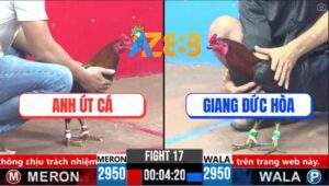 Trận 17 CPC3 18/3/2025 - Gà Anh Giang Đá Gà Anh Út Bung Bồ Giãy Chết