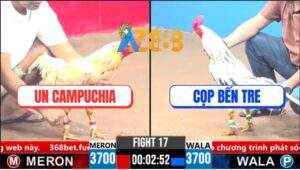 Trận 17 CPC3 19/3/2025 - Anh Un Campuchia Hạ Anh Cọp Bến Tre Nhanh Gọn