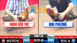 Trận 20 CPC3 15/3/2025 - Gà Anh Phương Dập 3 Chân Má Minh Hết Đường Về