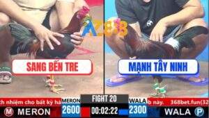 Trận 20 CPC3 18/3/2025 - Gà Anh Mạnh Kém 3 Chấm Đá Bự Ói Xanh Mặt