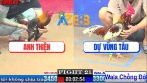 Trận 21 CPC1 20/3/2025 - Xám Bông Anh Dự Đá 3 Chân Lên Lớp Nhẹ Nhàng