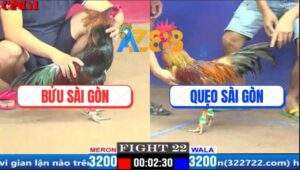 Trận 22 CPC1 20/3/2025 - Gà Khét Anh Quẹo Đâm Cây Nào Thấm Cây Đó