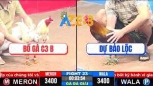 Trận 23 CPC3 19/3/2025 - Gốc Bự C3 Đụng Gốc Bự C1 Và Cái Kết