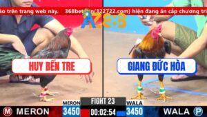 Trận 23 CPC3 6/3/2025 - Anh Huy Nài Kém Chơi Xấu Bị Trọng Tài Xử Thua