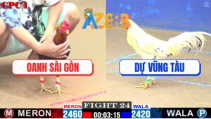 Trận 24 CPC1 1/3/2025 - Gà Anh Oanh Đá Tay Nước Gà Anh Dự Gãy Chân