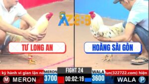 Trận 24 CPC3 15/3/2025 - Bướm Cọp Nhảy Chân Nào Úa La Miệng Chân Đó