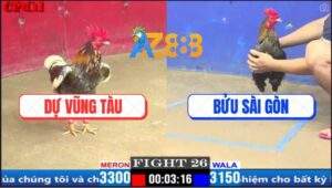 Trận 26 CPC1 20/3/2025 - Xám Bông Anh Dự Vũng Tàu Lên 3 Quá Đẳng Cấp