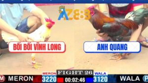 Trận 26 CPC1 3/3/2025 - Gà Bướm Anh Bối Bối Đá Tăng 1 Giết Đối Thủ